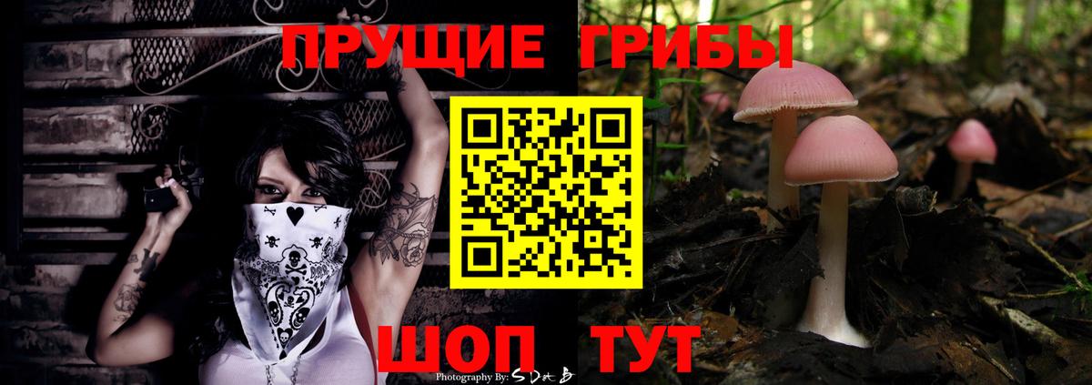 Псилоцибиновые грибы Cubensis  Вход с VPN  Барабинск 